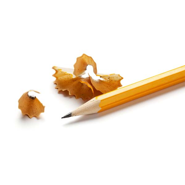 pencil cat