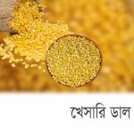 Khesari-Dal-Khola-or-loose