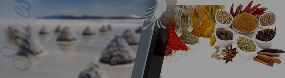 Salt - Sugar & Spices top 0