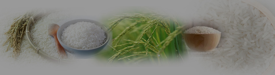 chal (rice) top 0