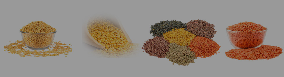 dal (lentil) top 0