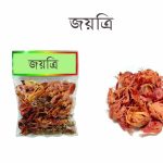aytree-Mace-10-gm