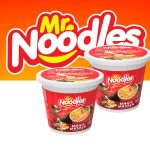 Mr.-Noodles-Cup-Noodles-Magic-Masala