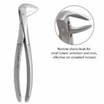 Dental-Lower-Anterior-Forceps-No.-74N
