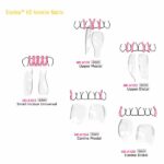 Bioclear-HD-Anterior-Matrix