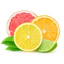 Citrus logo 0