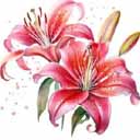lily logo 0