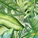 lush green logo 0