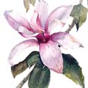 magnolia logo 0