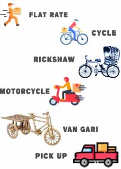 delivery system 012